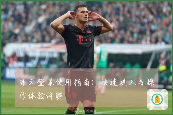 开云登录使用指南：快速进入与操作体验详解