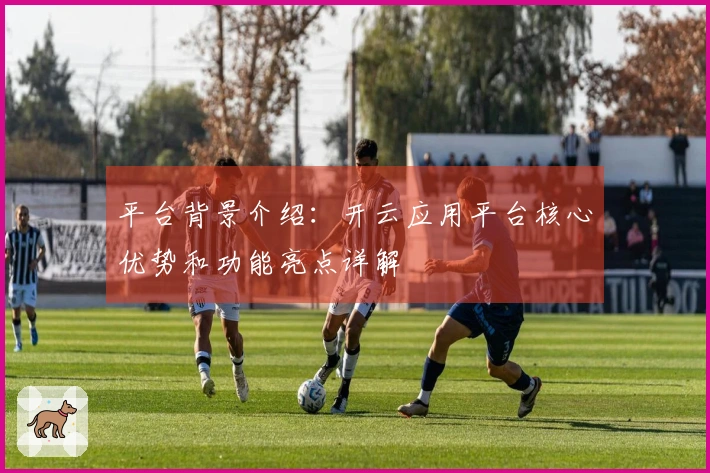 平台背景介绍：开云应用平台核心优势和功能亮点详解